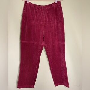 🌷🌷3/$15 Blair Burgundy Velour Pants Petite L